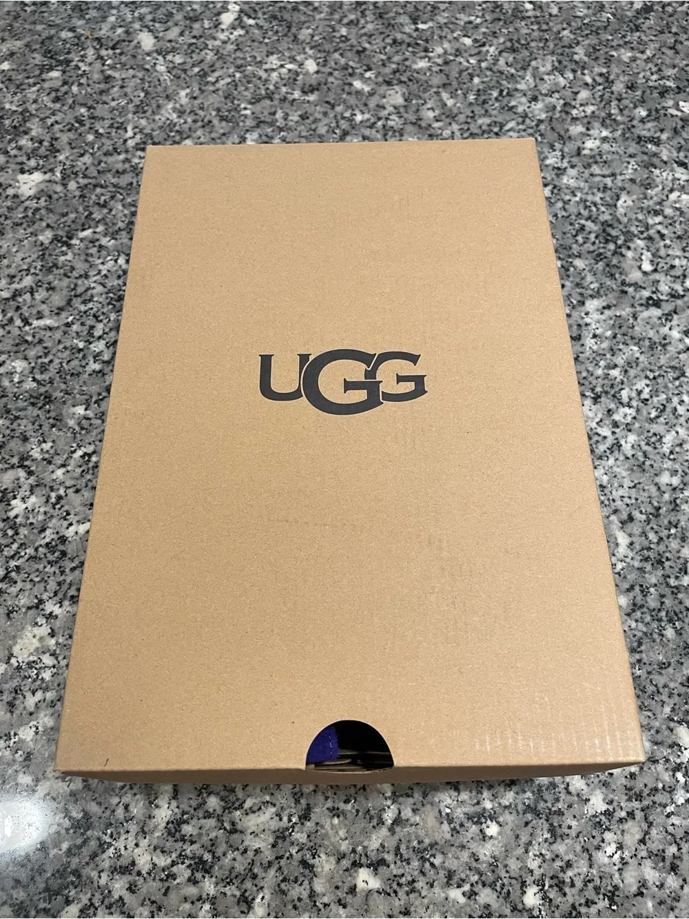 UGG Women’s Chukka Boots in Purple Suede